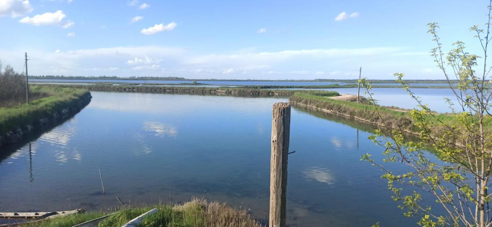 Casa Vacanze Nel Delta Del Po Taglio di Po Eksteriør bilde