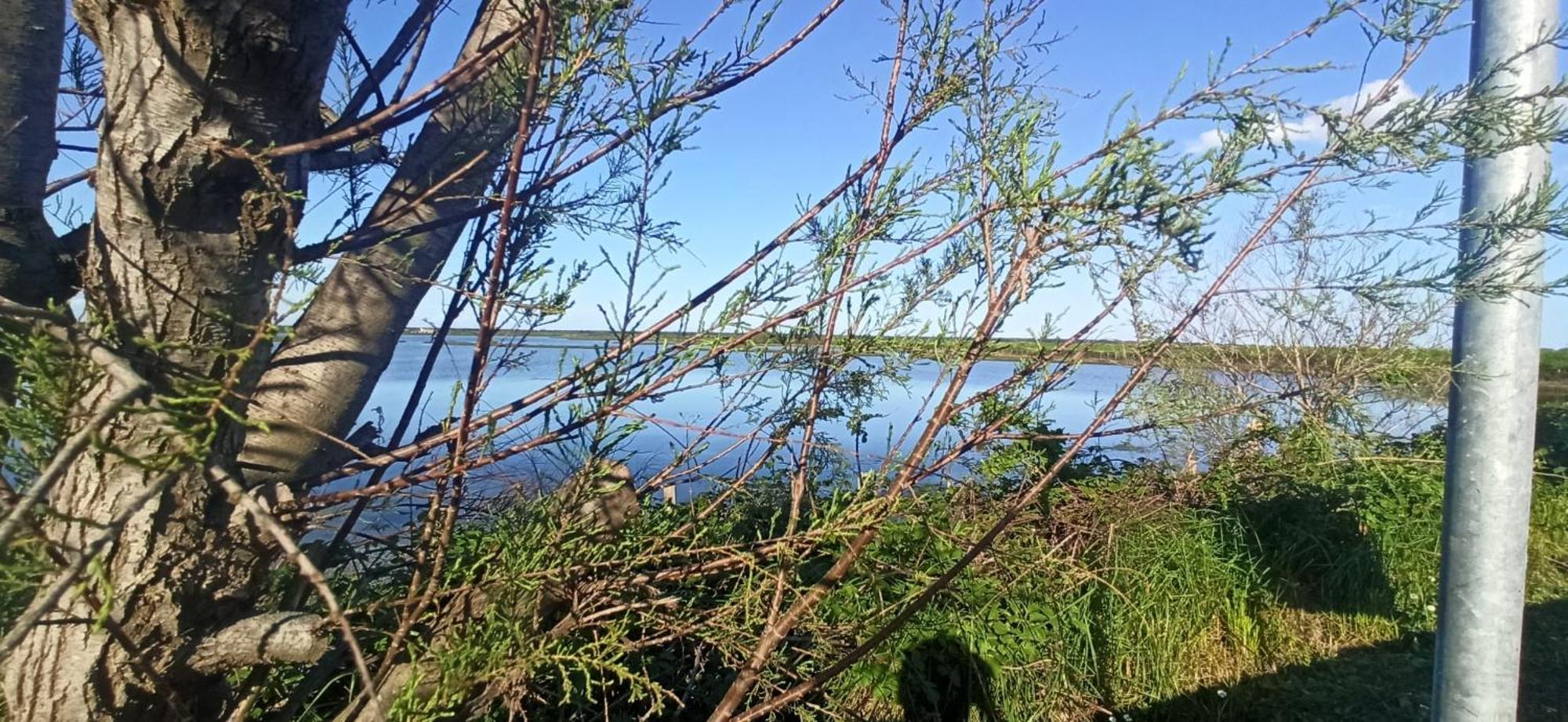 Casa Vacanze Nel Delta Del Po Taglio di Po Eksteriør bilde