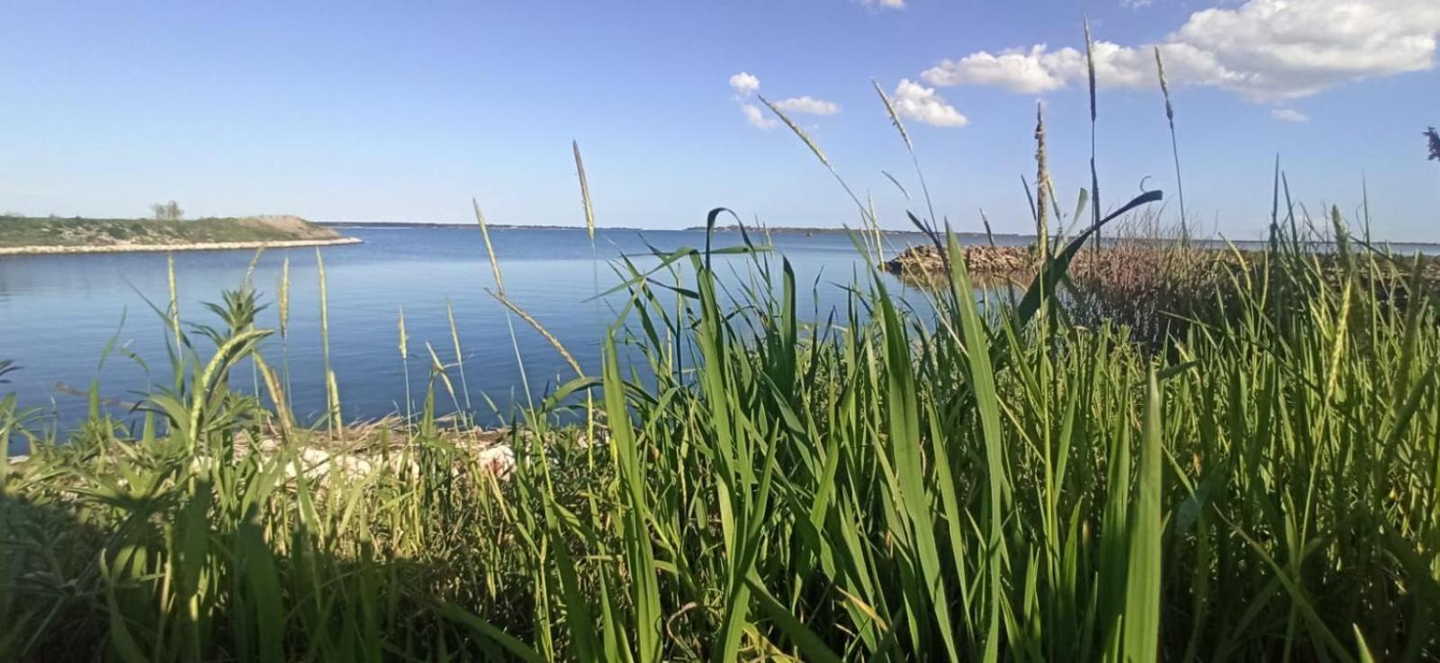 Casa Vacanze Nel Delta Del Po Taglio di Po Eksteriør bilde