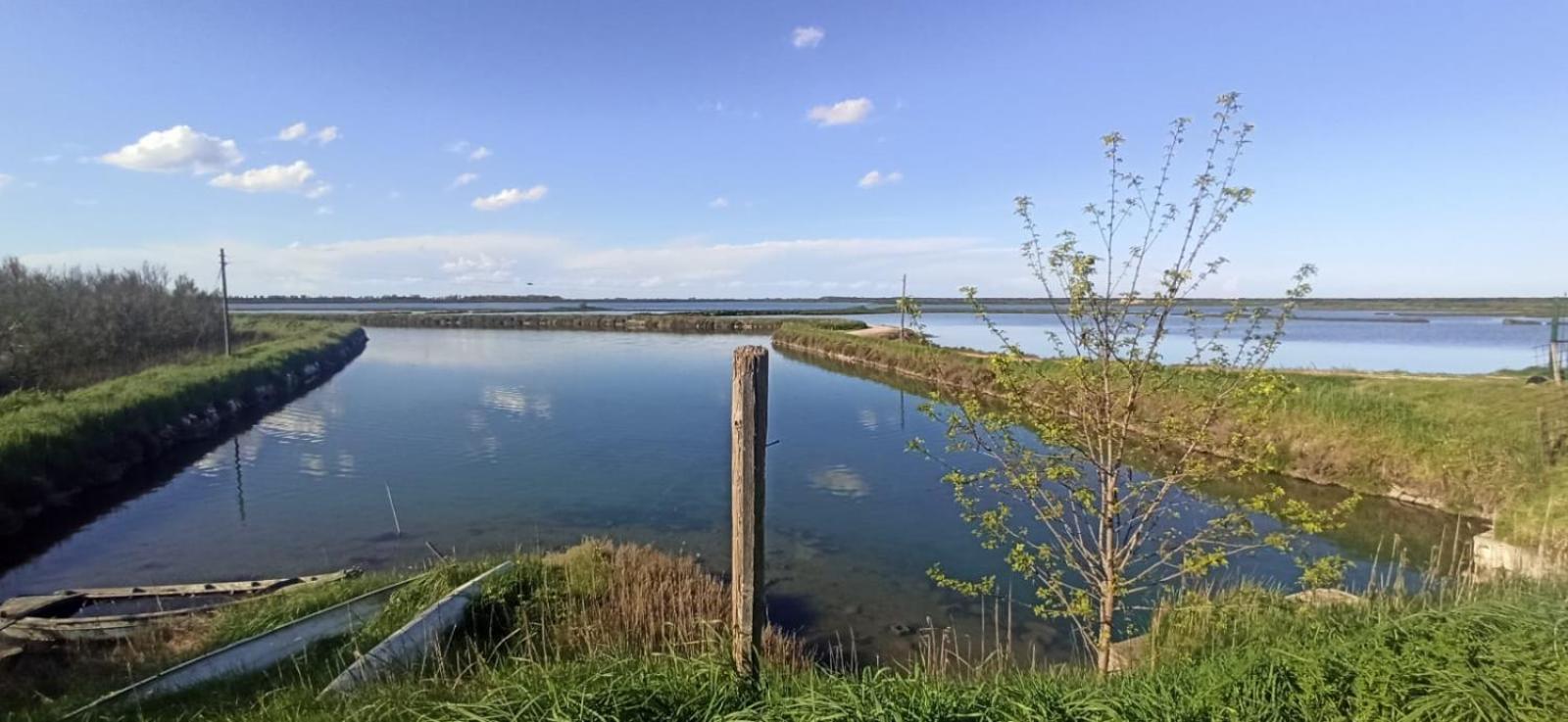 Casa Vacanze Nel Delta Del Po Taglio di Po Eksteriør bilde