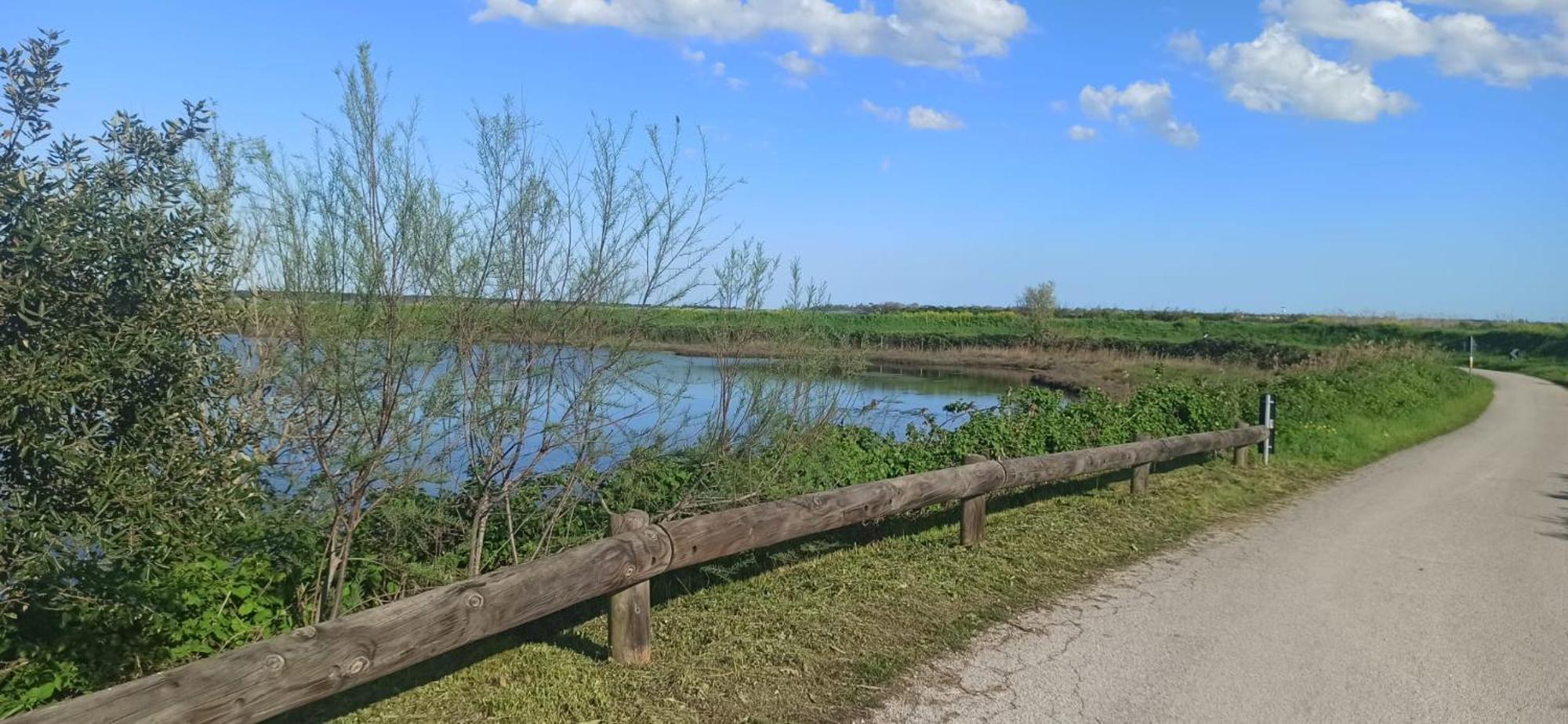Casa Vacanze Nel Delta Del Po Taglio di Po Eksteriør bilde