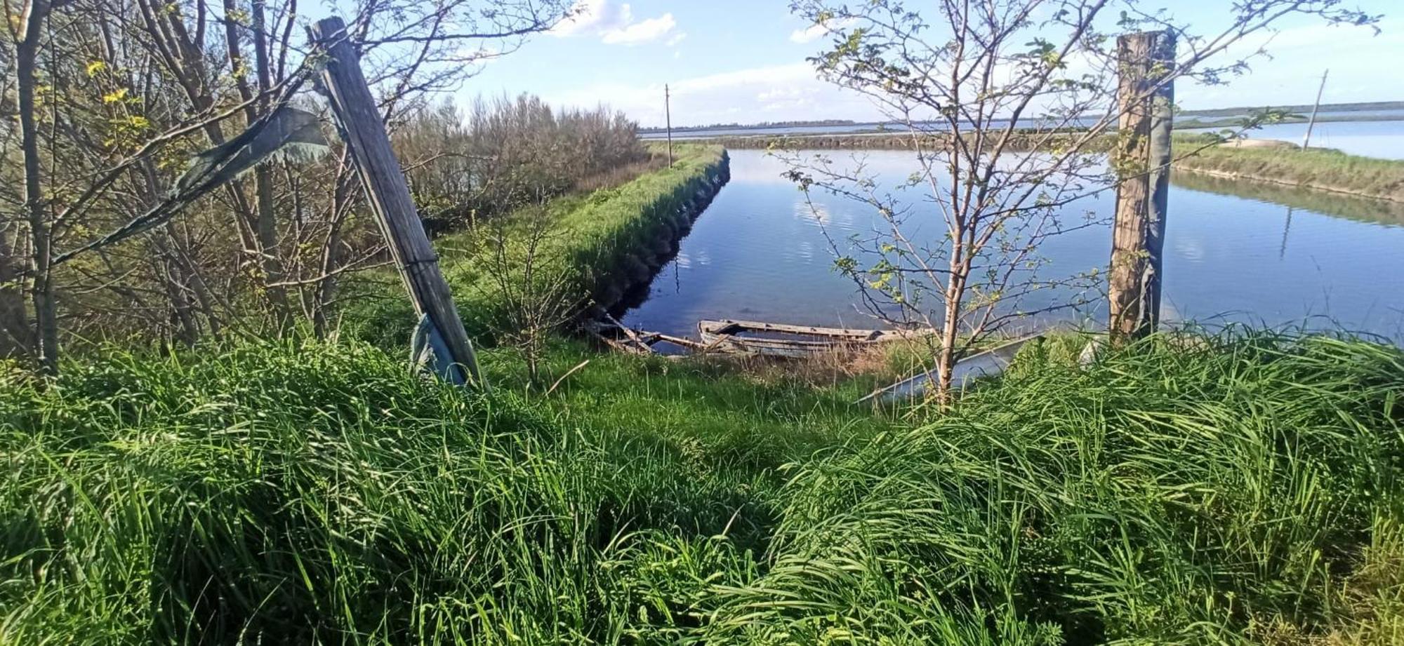 Casa Vacanze Nel Delta Del Po Taglio di Po Eksteriør bilde